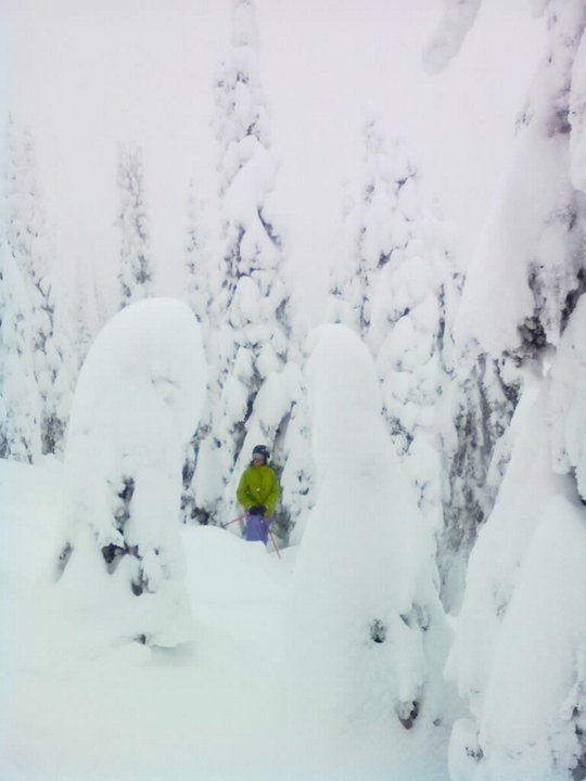 Snow ghosts in Montana