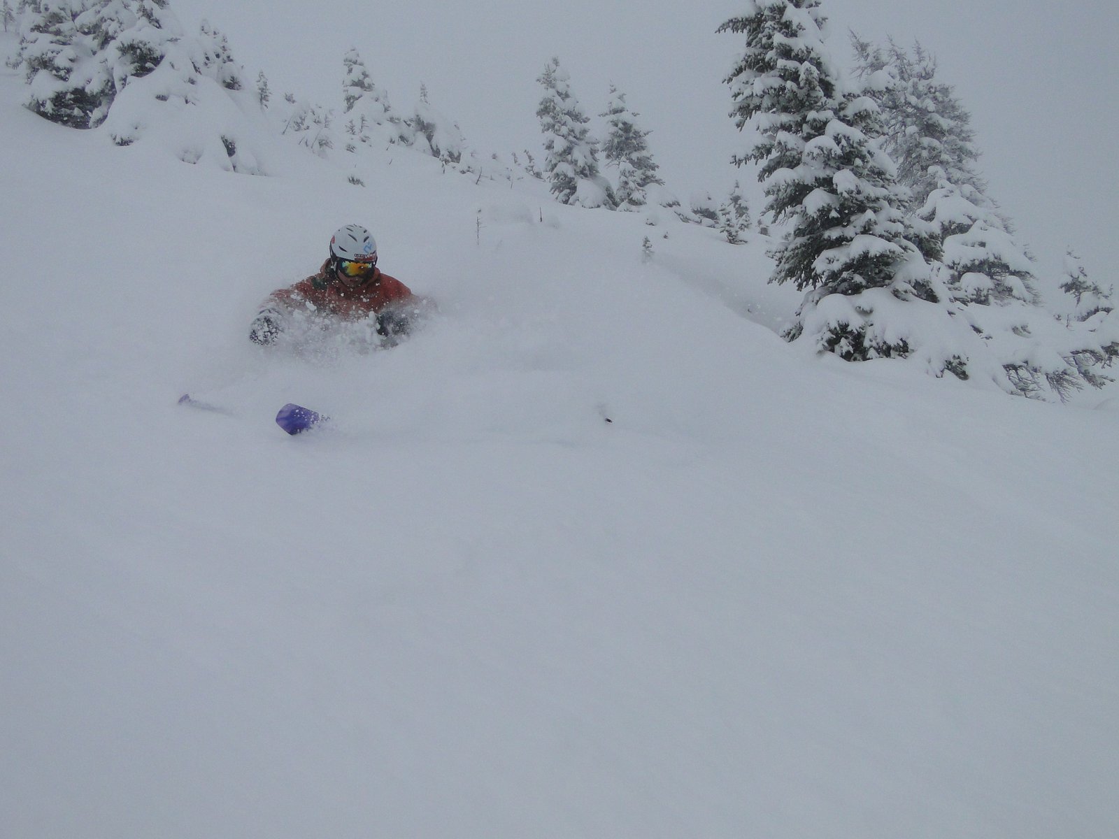 Revelstoke pow