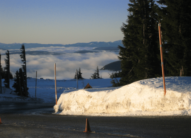 Timberline