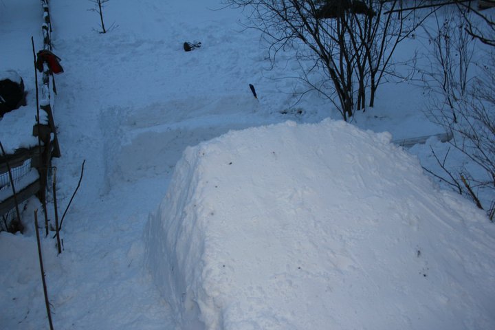 Backyard Jump - Booter