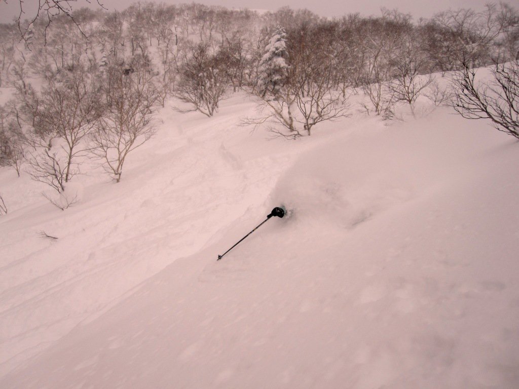 Hokkaido Pow