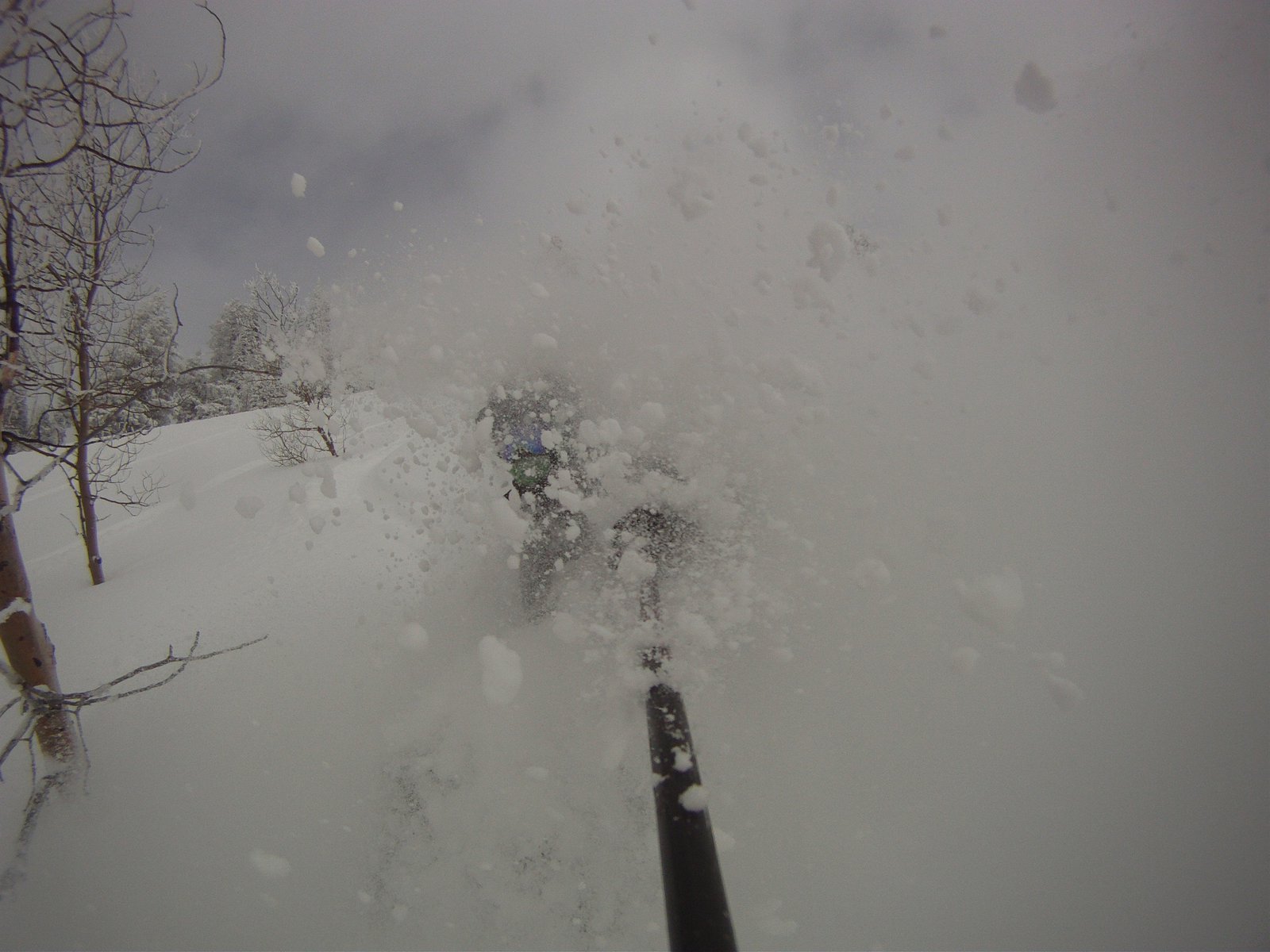 I love powder skiing :)