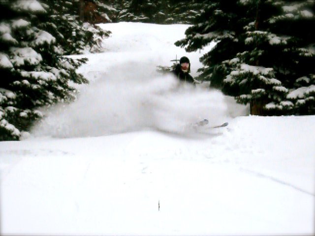 Powder