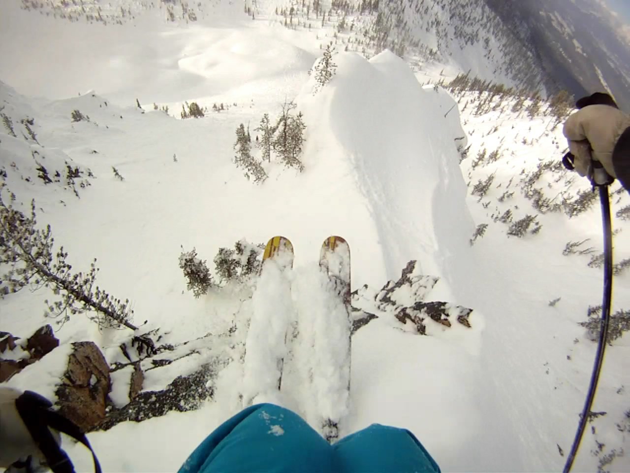 Kicking horse dropping in