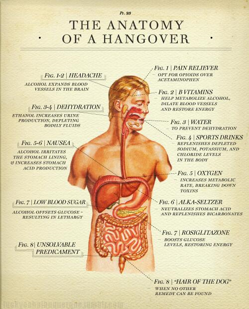 Hangover cures