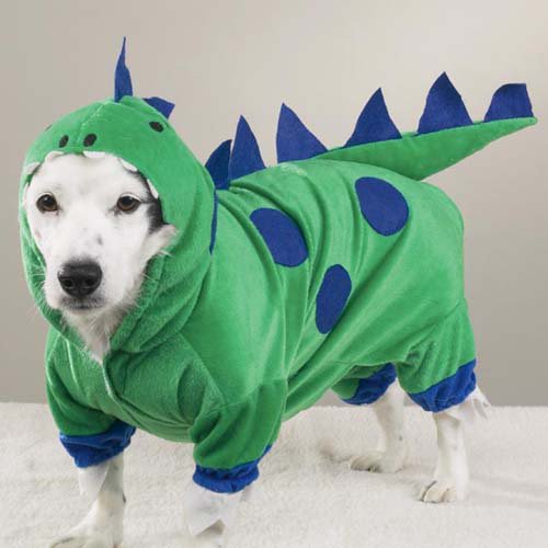 Dog costume
