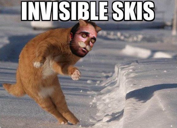 Invisible Skis