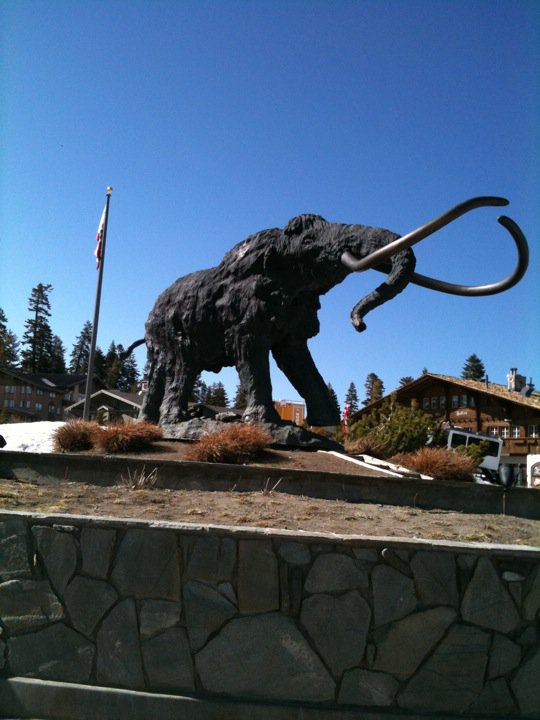 Mammoth!