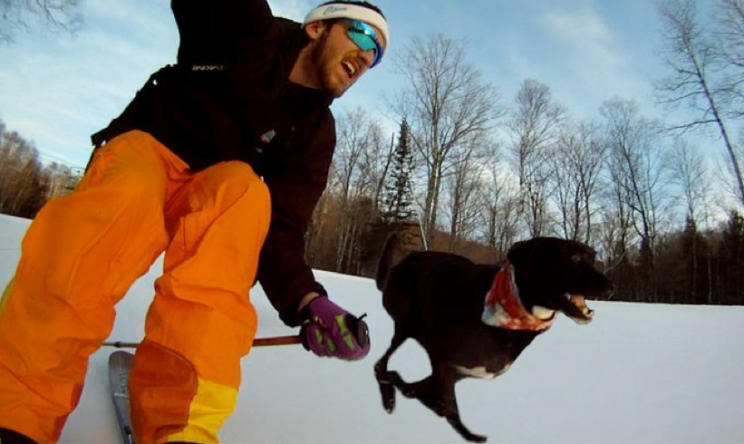 Skiing with my dog