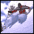 snowbird4life profile picture