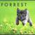 Forrest. profile picture
