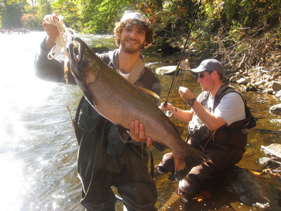 15lbs Coho Salmon