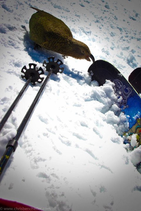 New Atomic Ski 2013