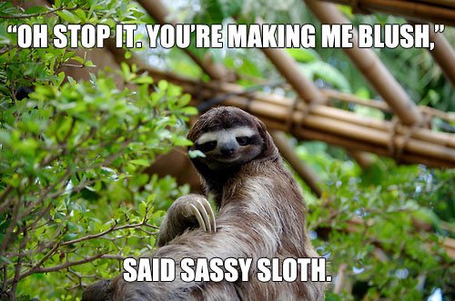 Sick Sloth Meme