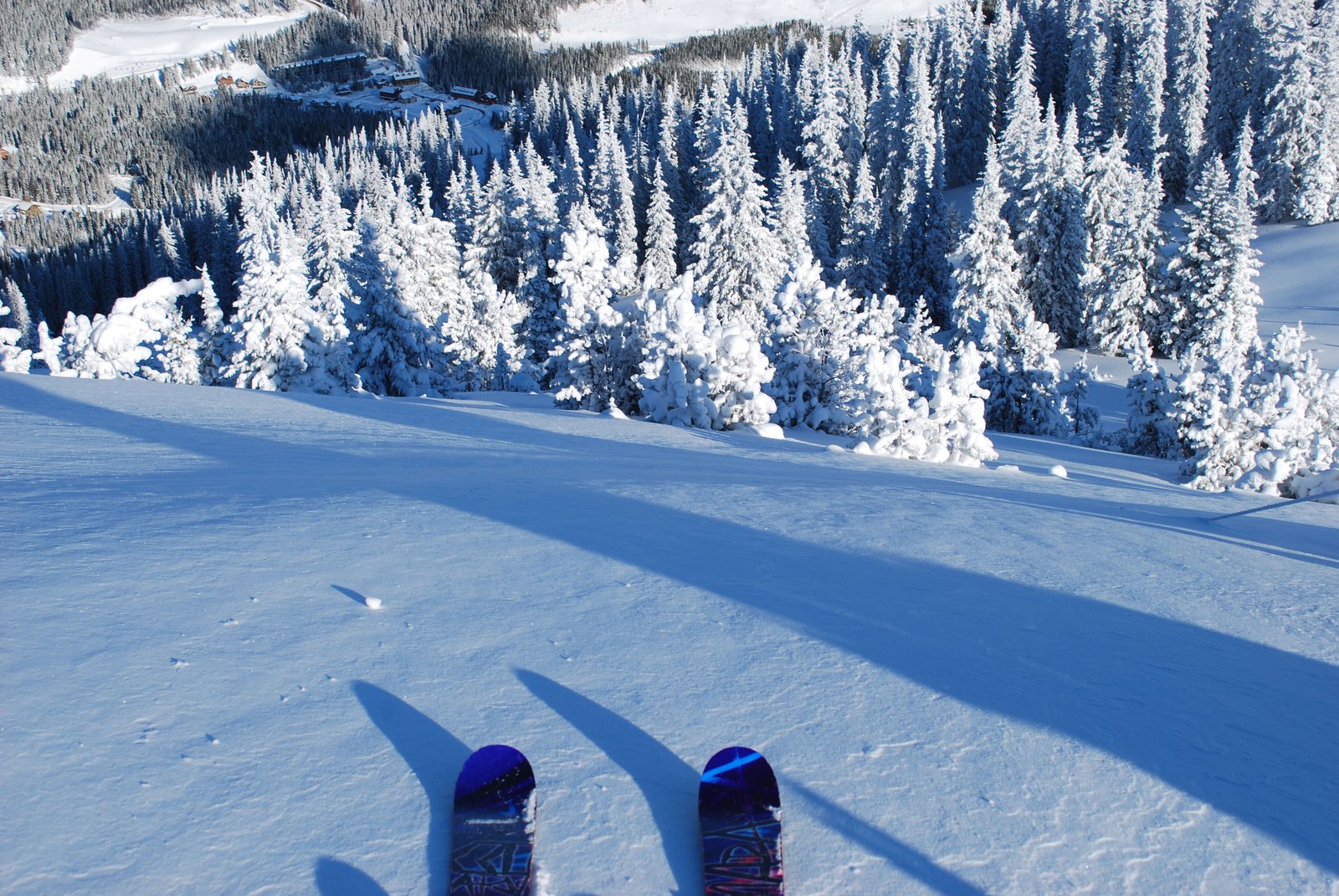 fresh tracks