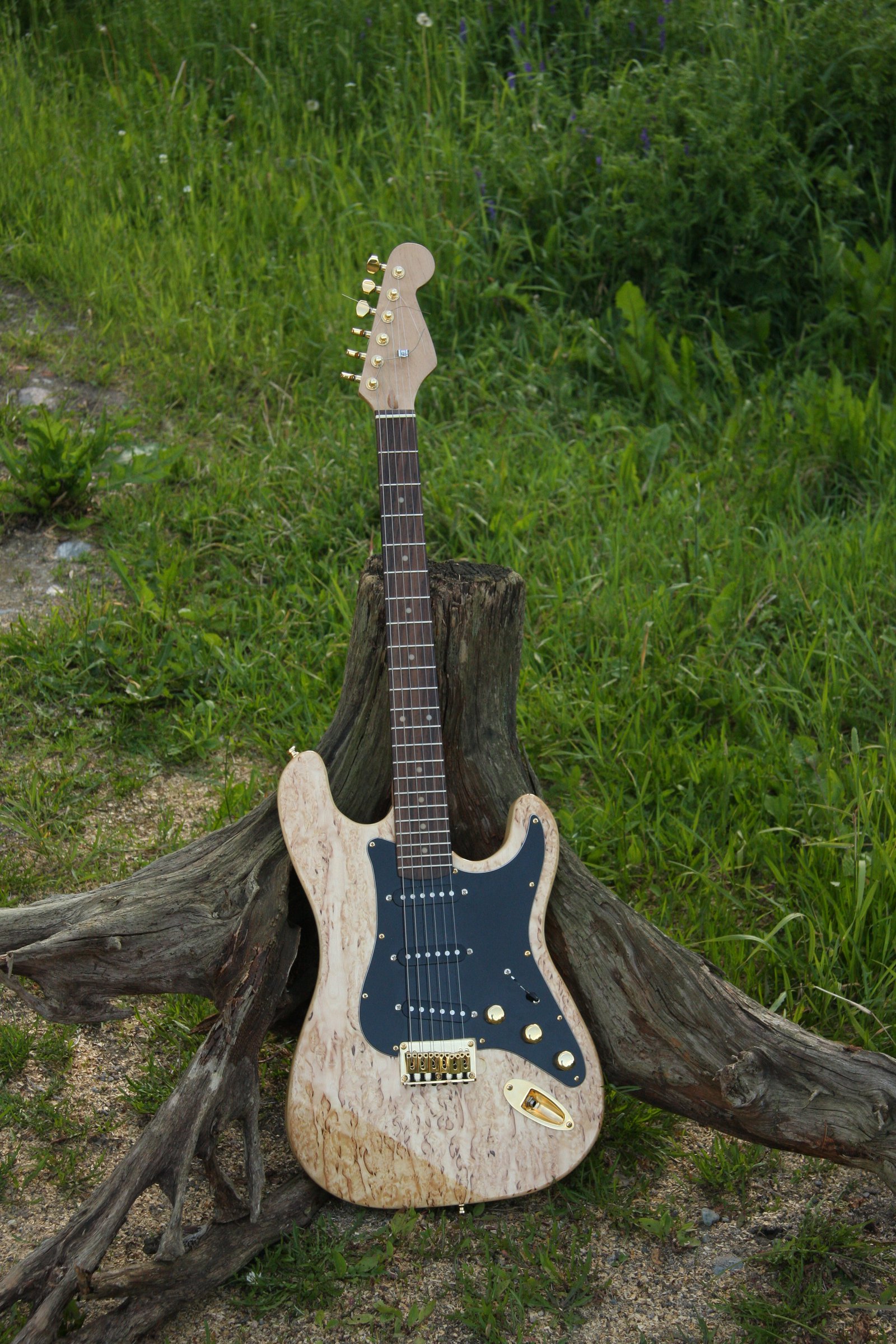 Self-made guitar