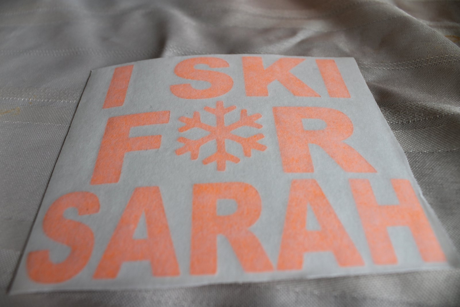 Ski for sarah stickers 