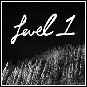 level 1