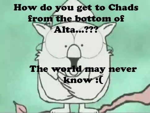 Chad's from the botttom of Alta