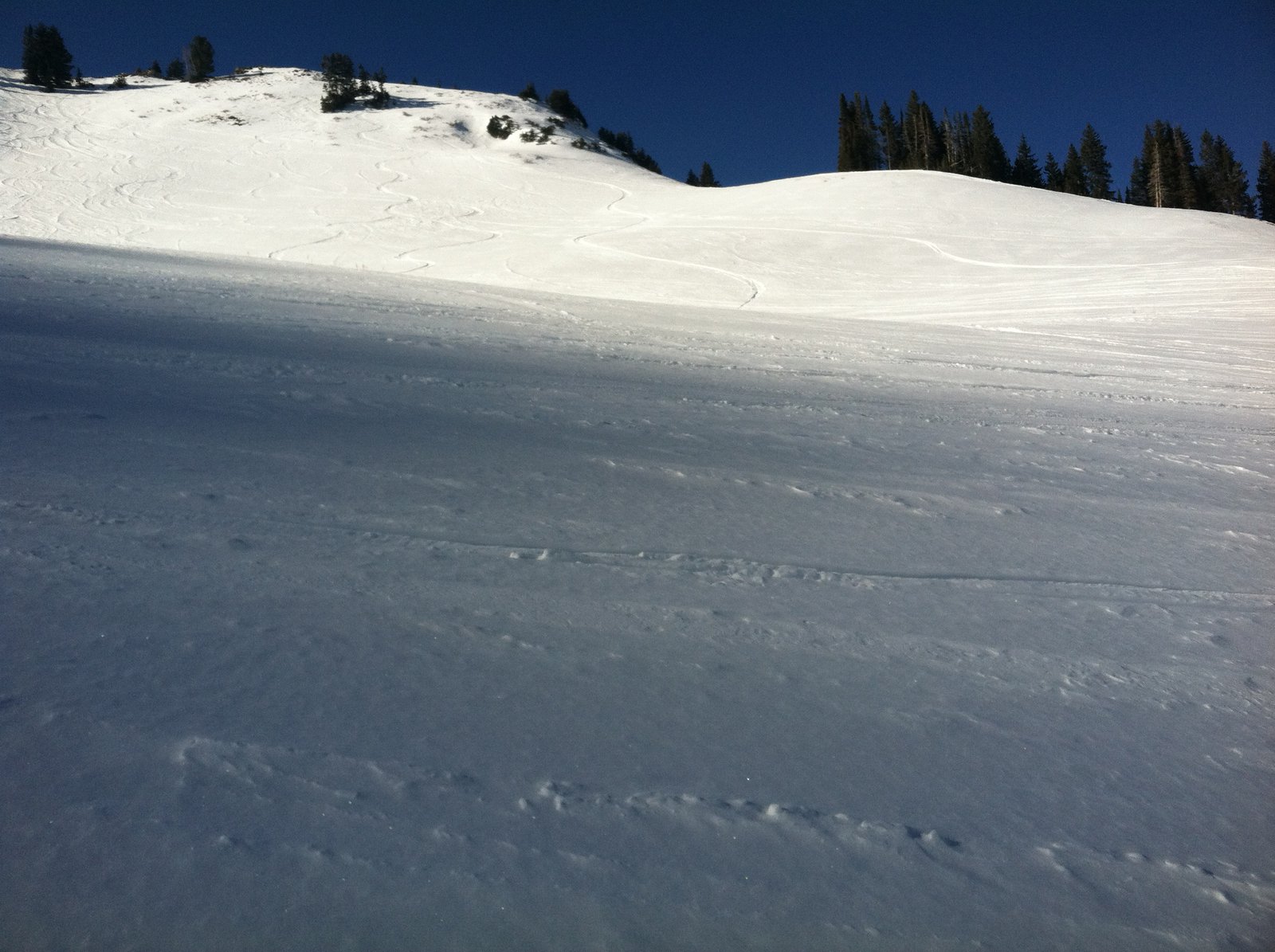 first first tracks of 2012