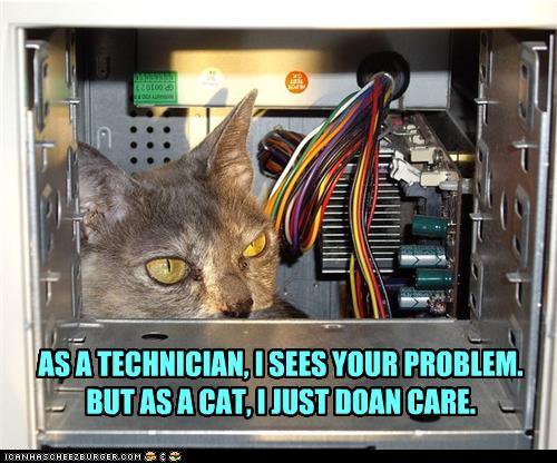 Cat Tech