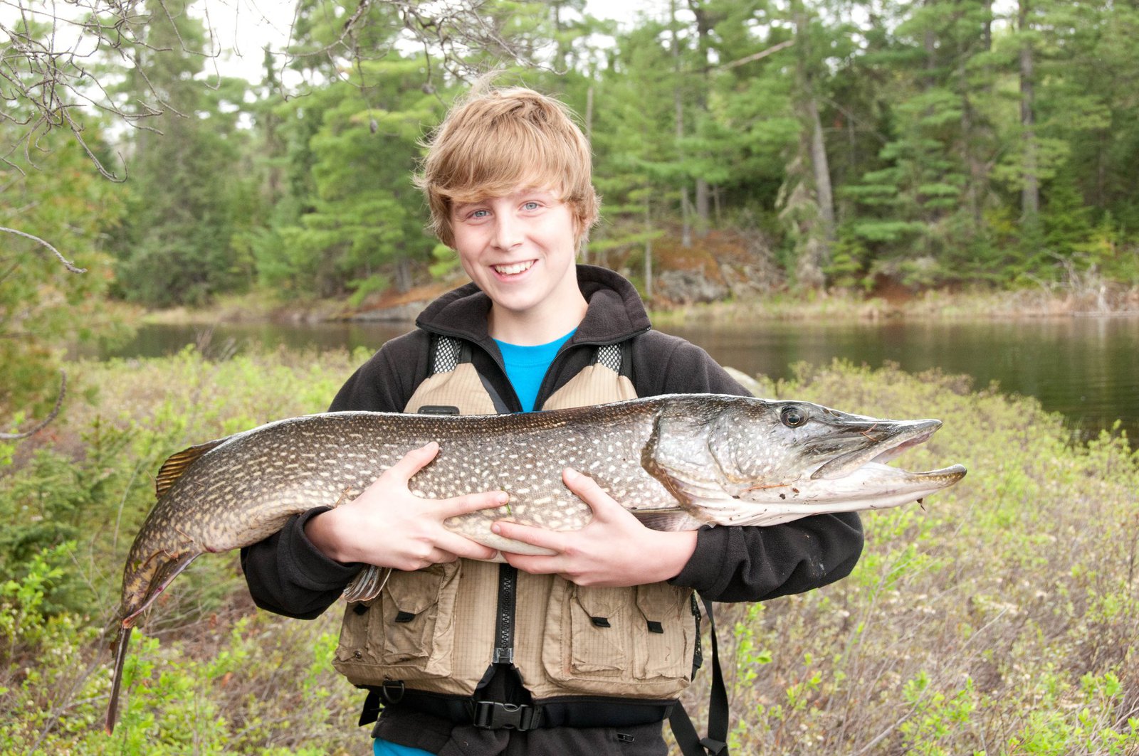 4 Foot Northern Pike