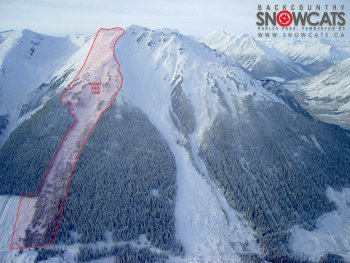 Win A Weekend Of Cat Skiing At Backcountry Snowcats Near Whistler Bc Newschoolers Com
