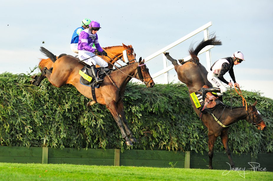 Steeplechase (horse racing) - Wikipedia