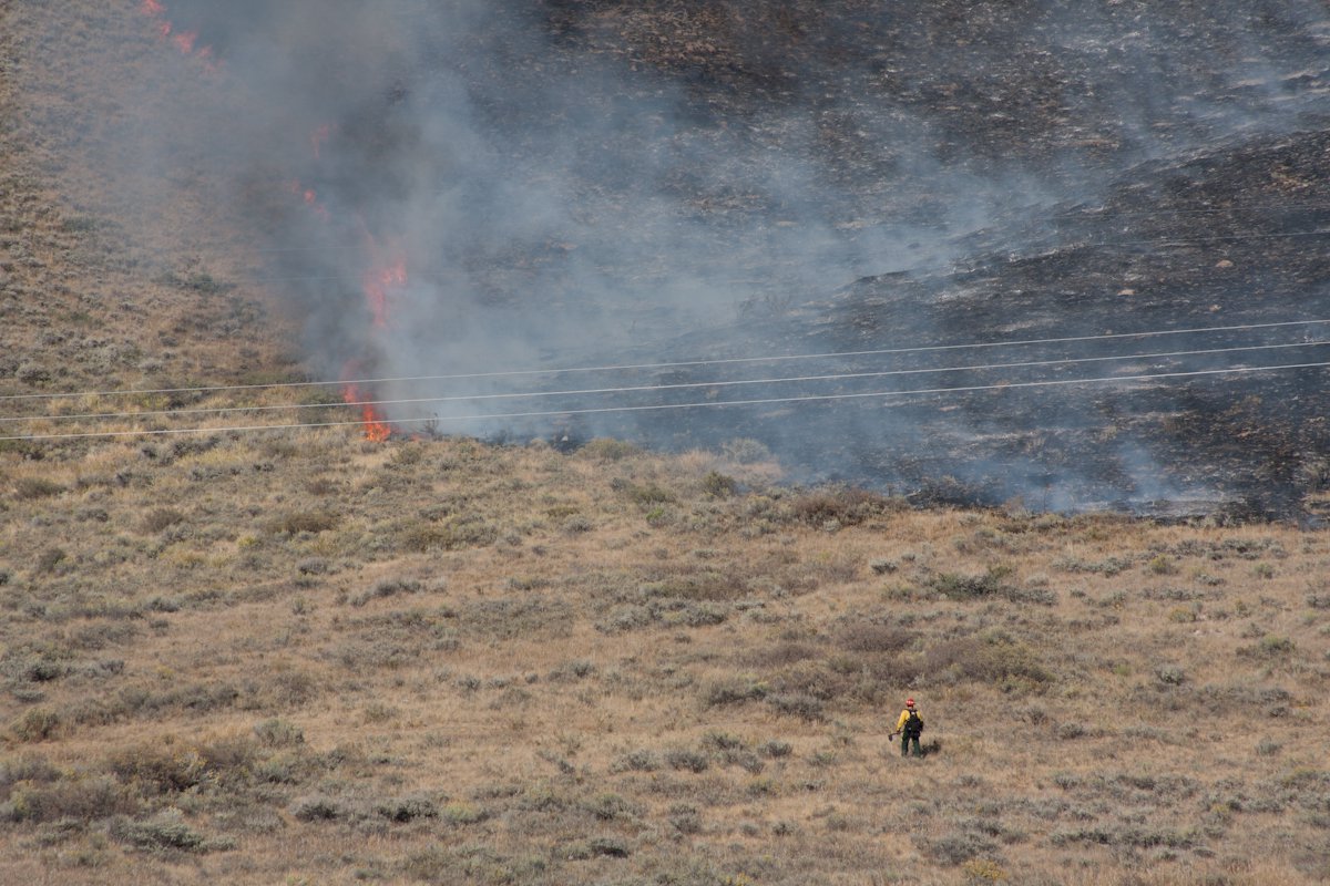 Horse Thieves Fire