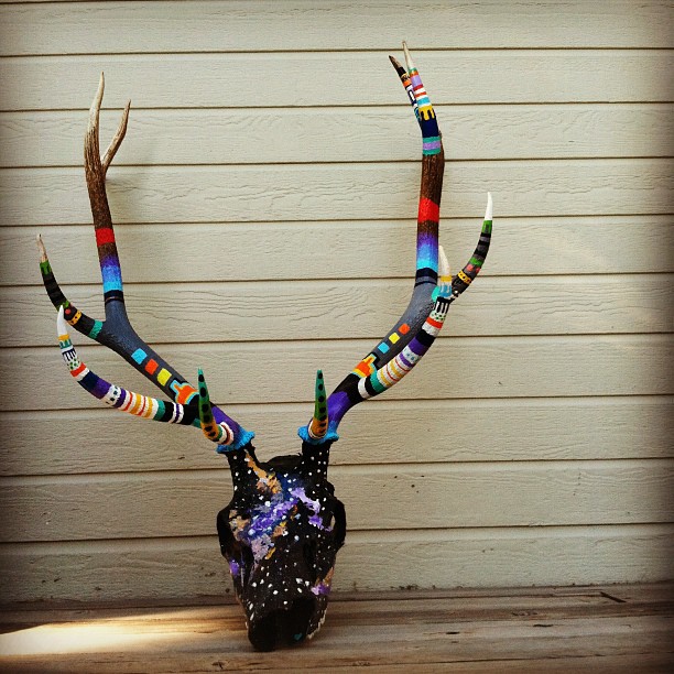 Large Elk Skull i painted - Pictures - Newschoolers.com