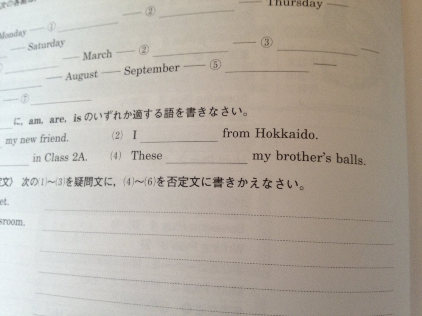these ____ my brother's balls