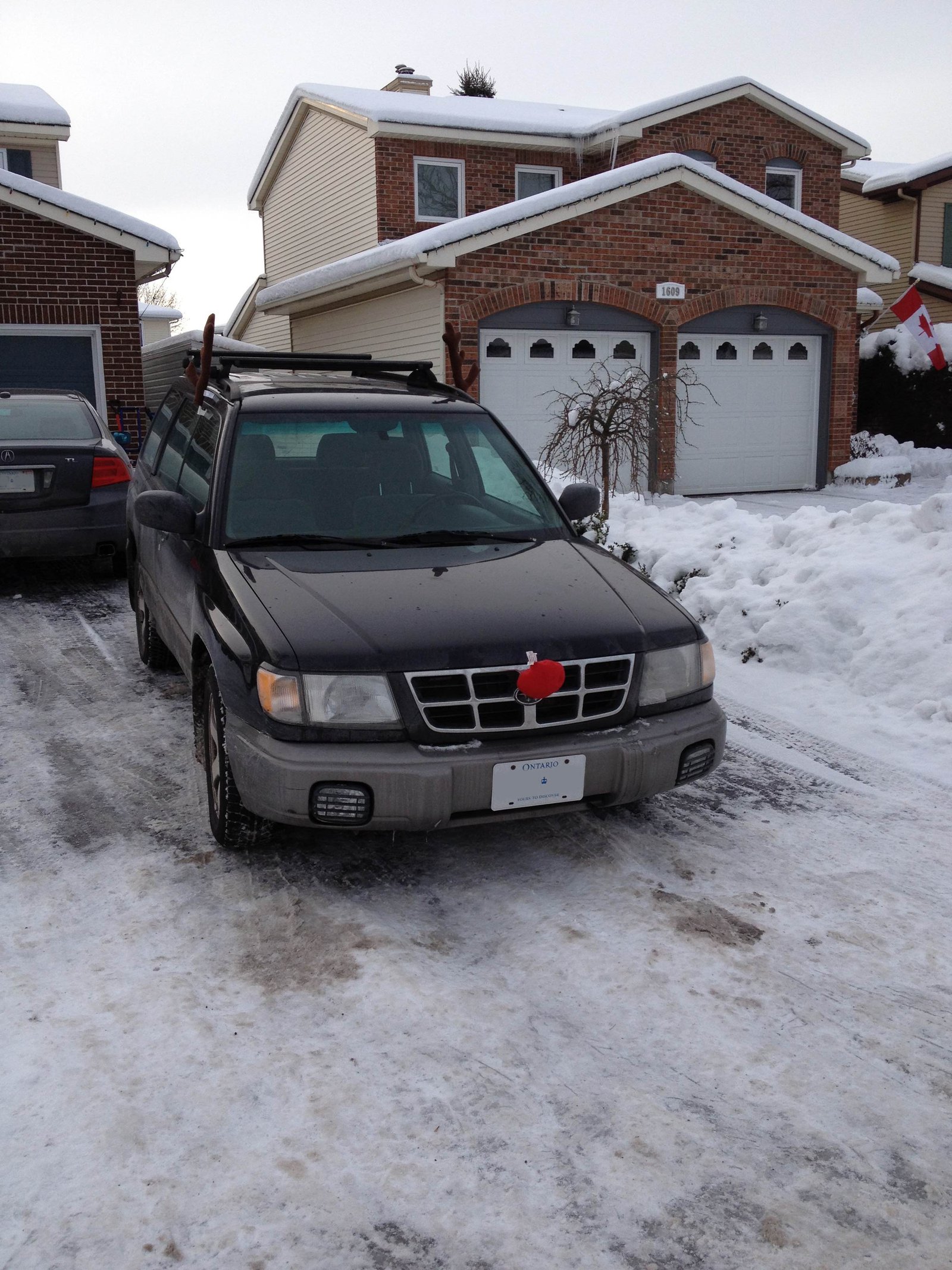 Forester reindeer mode!