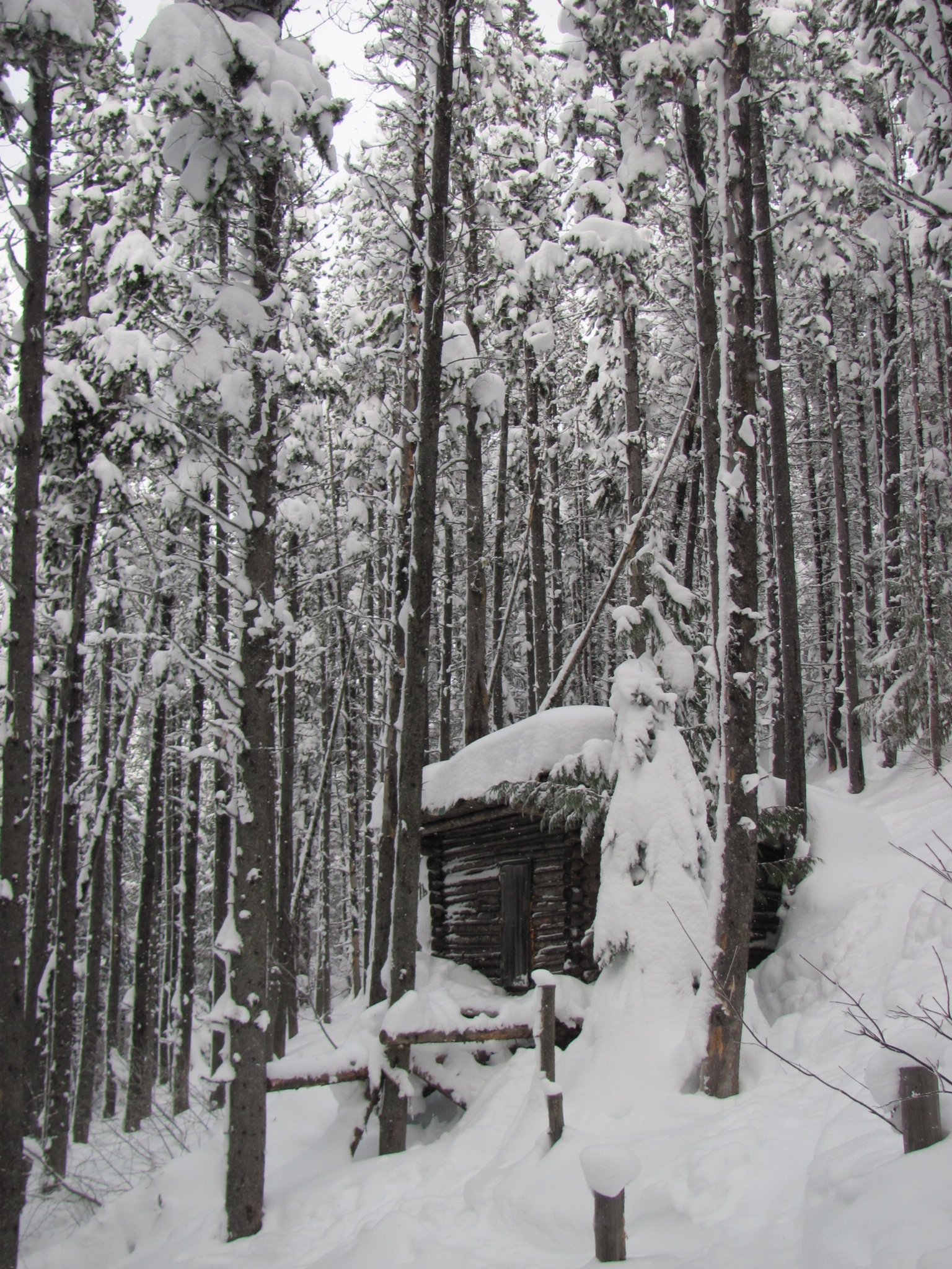 Mt. Proctor Cabin