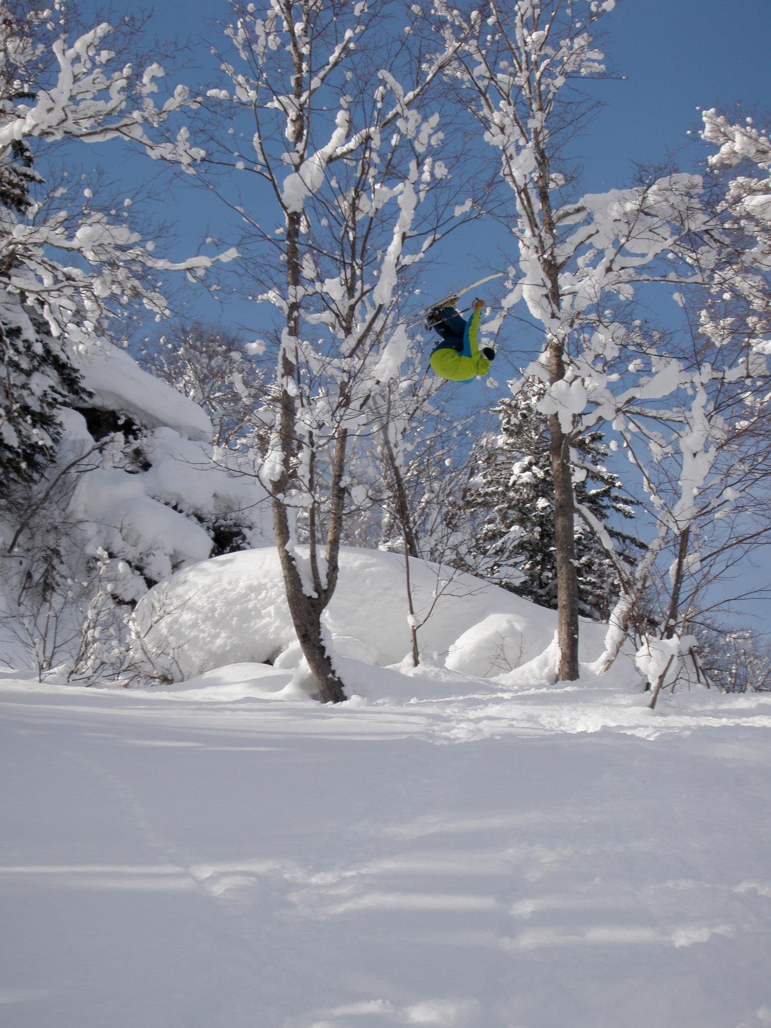 Flat 3 Through the Trees