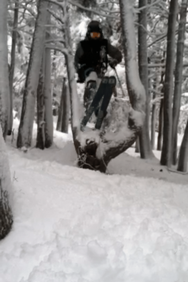 tree jump