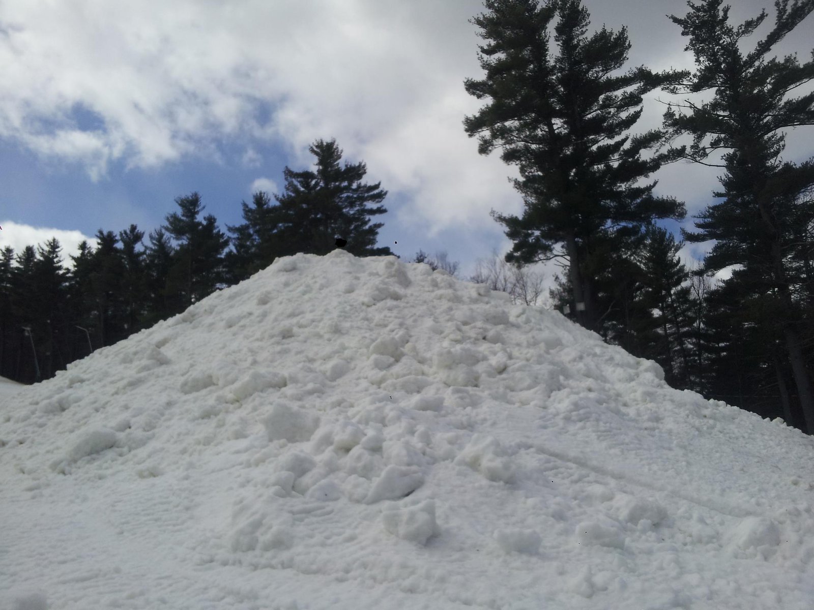 Snow Pile