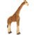 silent_giraffe profile picture