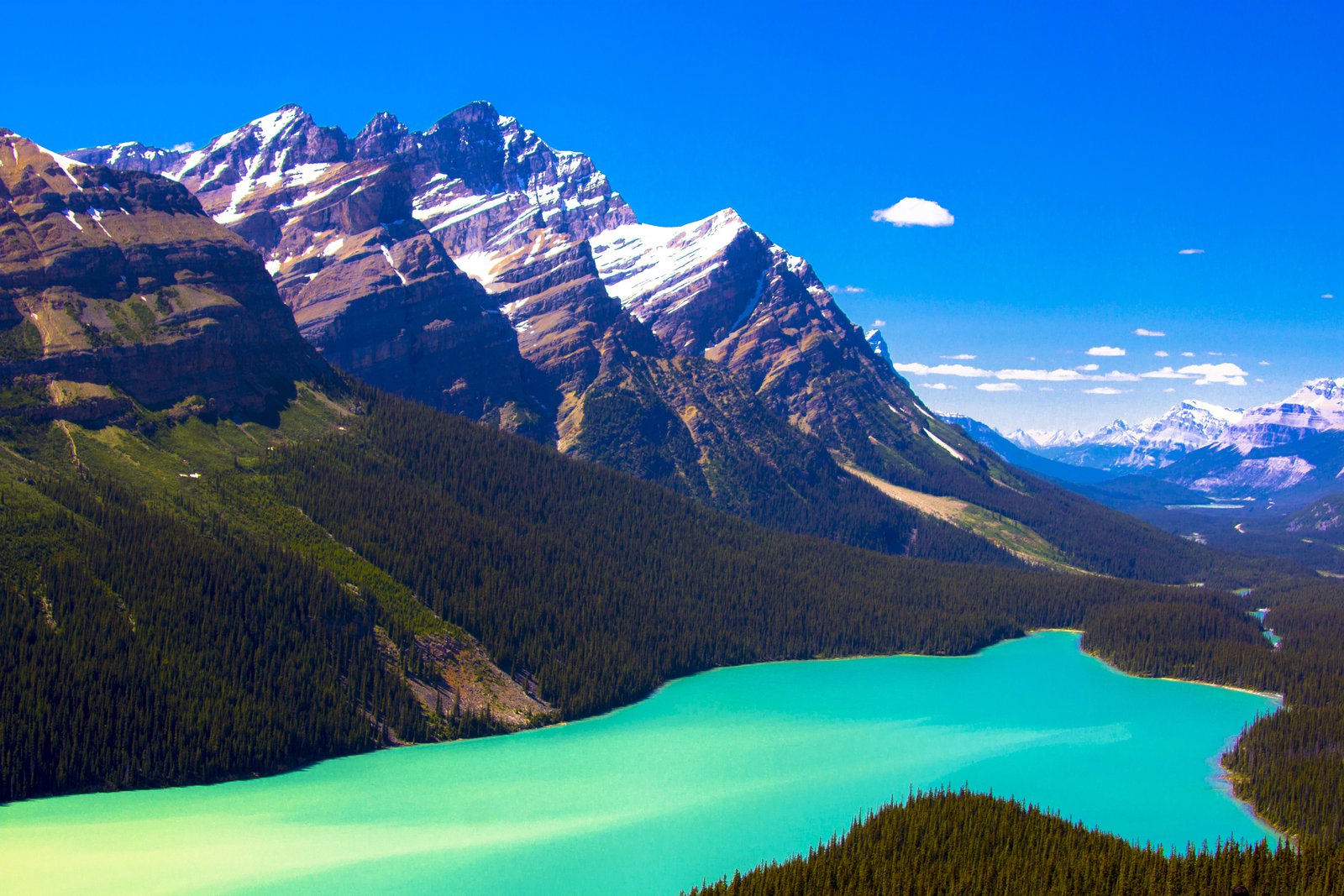 Peyto lake 