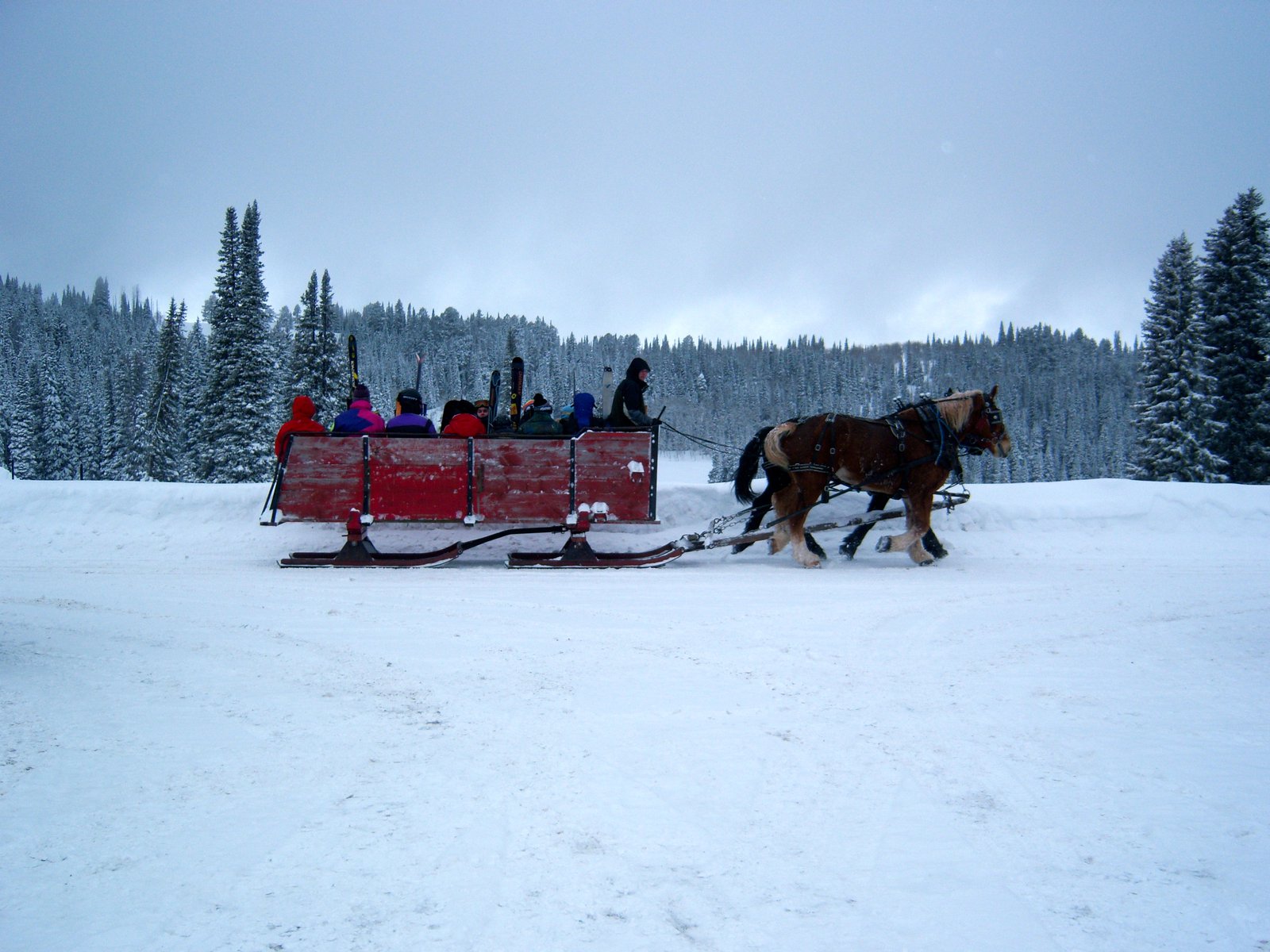 Grand Targhee