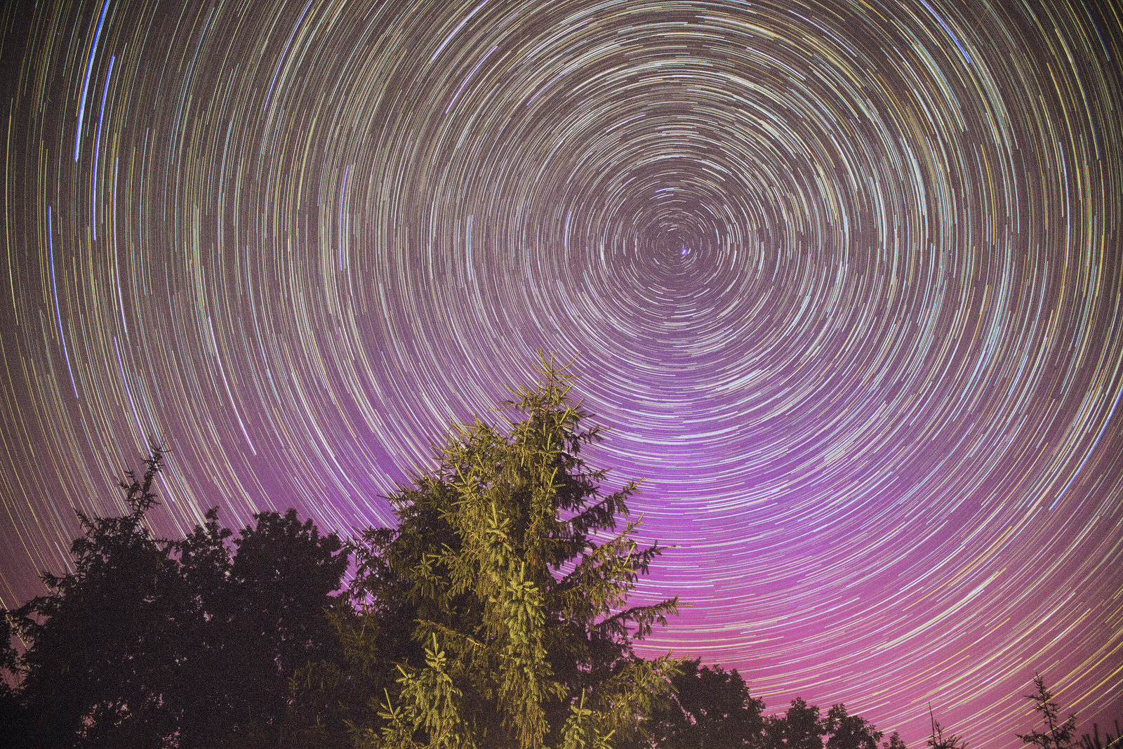 Backyard Star Trail