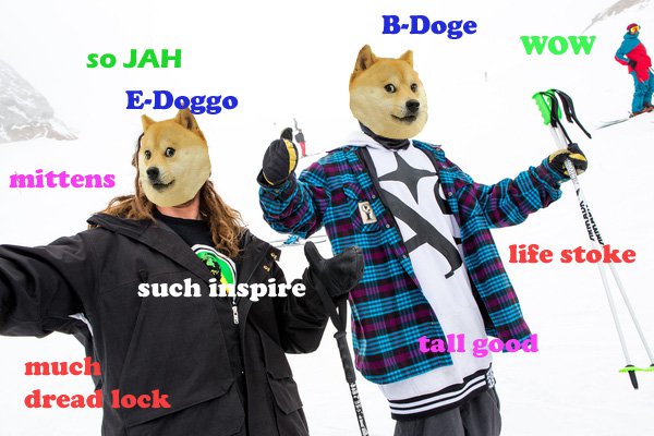 B-Doge & E-Doggo