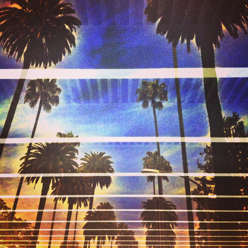 Palms