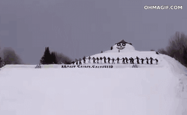 30 skier backflip