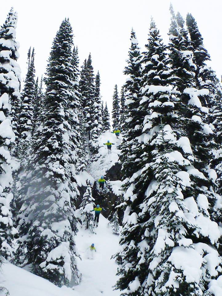 Revelstoke cliff sequence