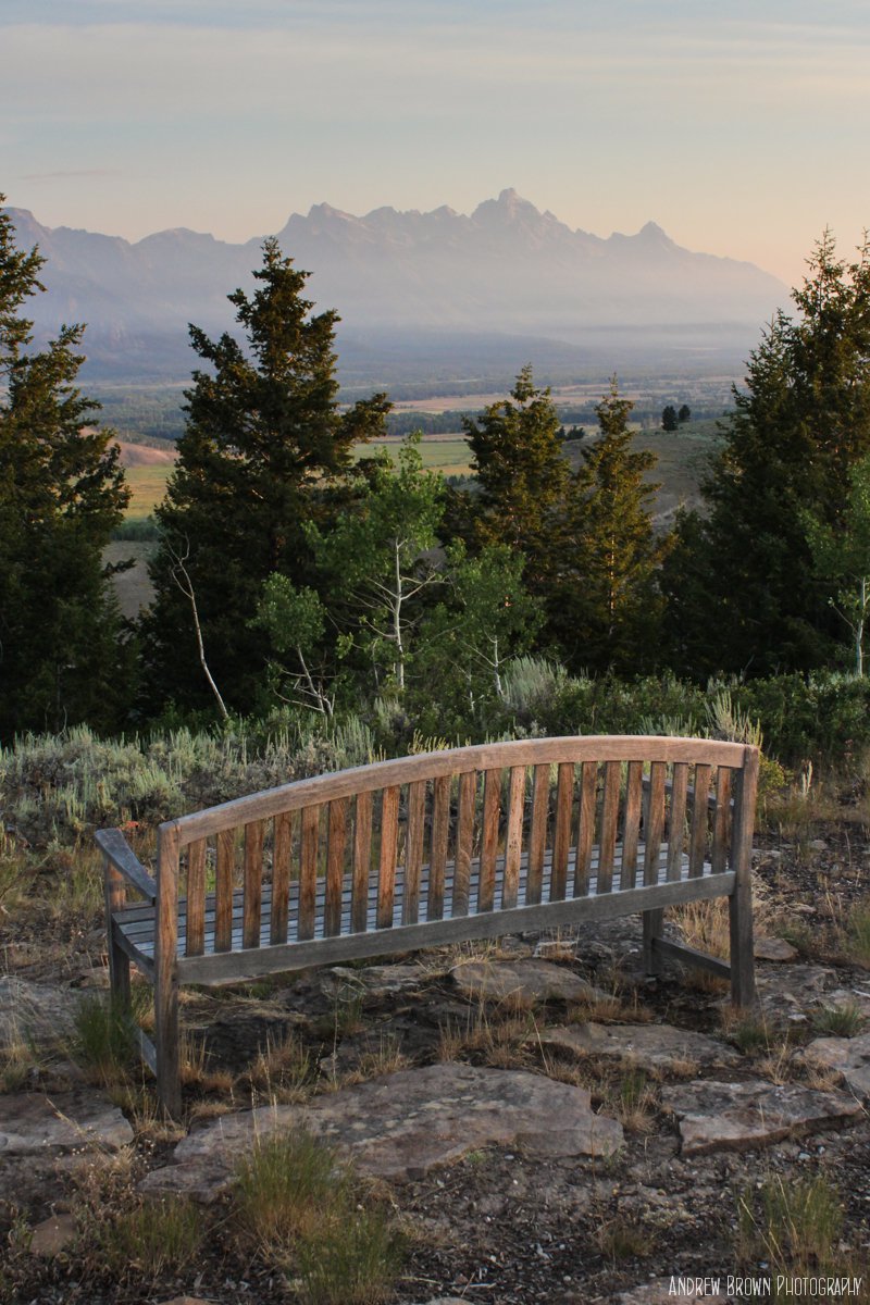Fence with tetons