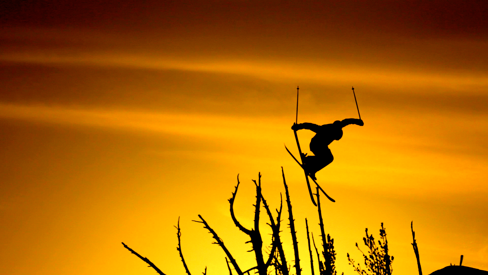 Silhouette at Sunset