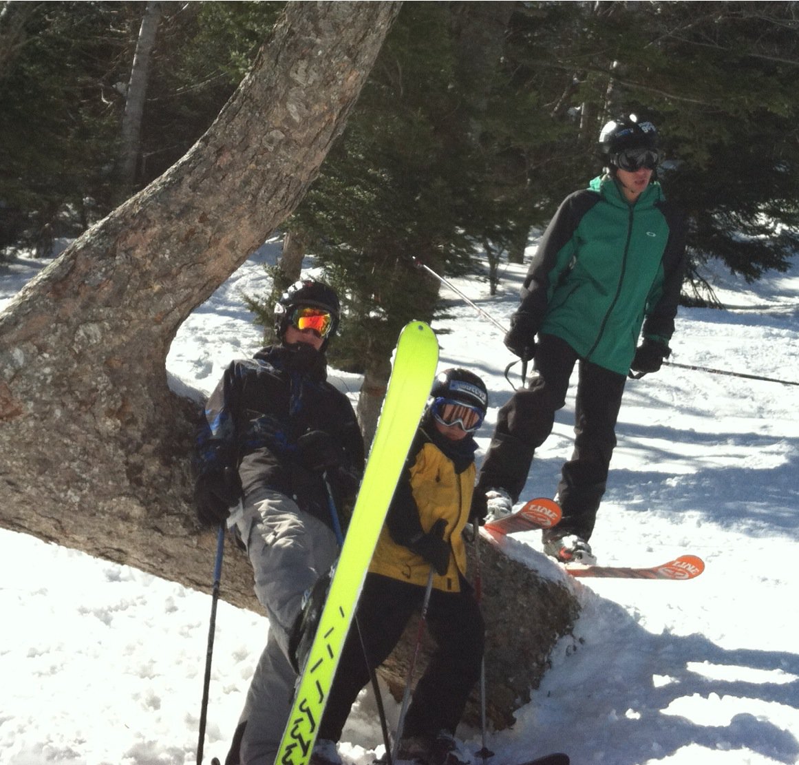 3 skiers 1 tree 