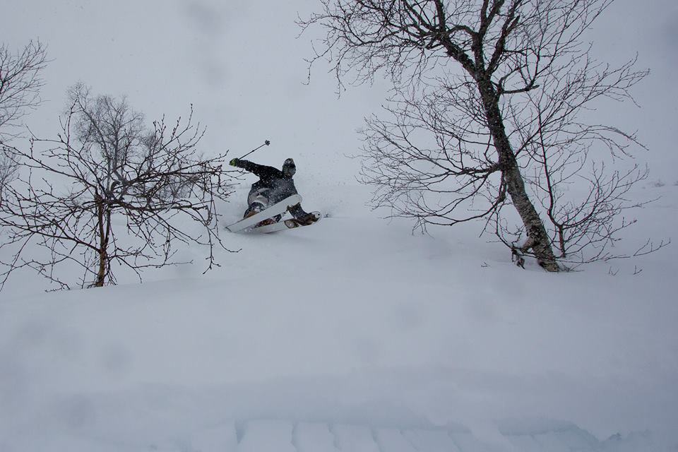 Powder Shot