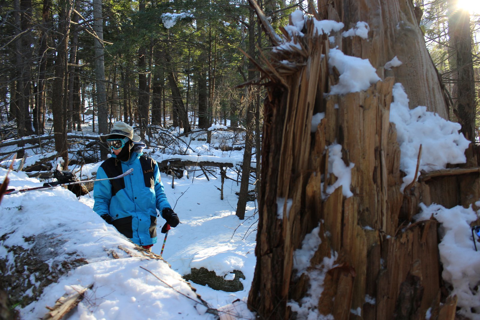 Aidan and Trees