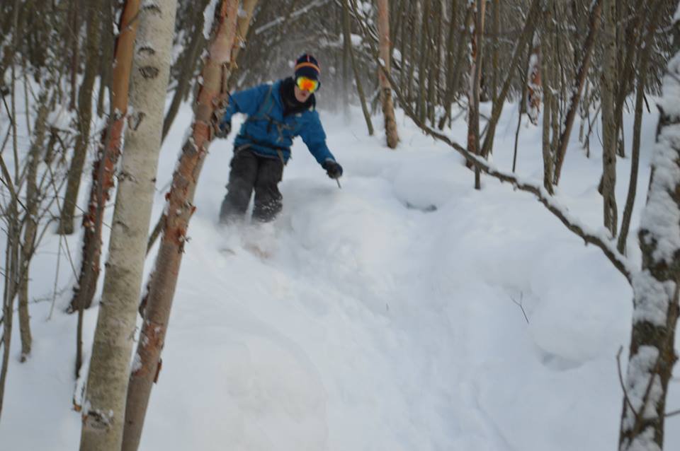 Boreal forest powder monkey hunt.